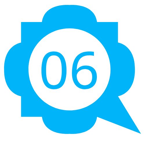 06